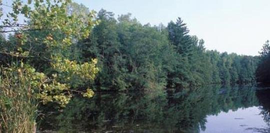 Greene Sullivan State Forest Map Campground Details - Greene-Sullivan State Forest, In - Indiana Department  Of Natural Resources